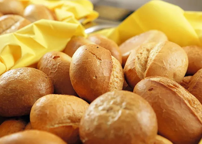 旅馆 杜塞尔多夫青年旅馆 *